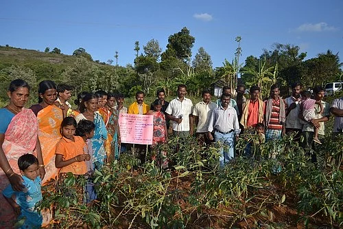 அபூர்வ மூலிகைகள்...சிறுதானியங்கள்...கொல்லிமலை சொல்லும் ரகசியங்கள்!