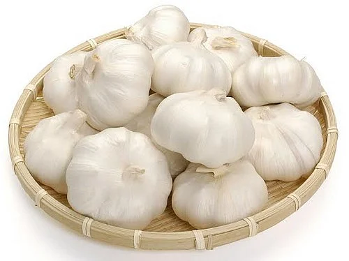 மகத்துவம் நிறைந்த வெள்ளைப்பூண்டு!
