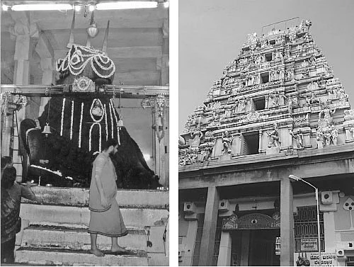 நந்திதேவருக்கு நிலக்கடலைத் திருவிழா!