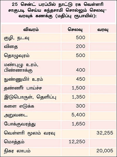 வறட்சியிலும் வெகுமதி கொடுக்கும் வெள்ளரி! - 25 சென்ட் நிலத்தில்... ரூ 20 ஆயிரம் லாபம்!