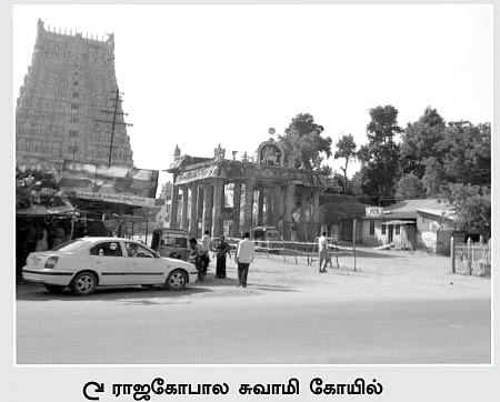 “ ‘மன்னார்குடி மாஃபியா’னு சொல்லாதீங்க!” - மன்றாடும் மன்னை மக்கள்