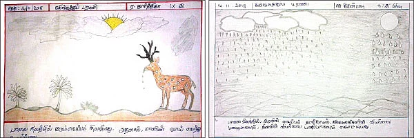 பாலைவனத்தில் மான்!