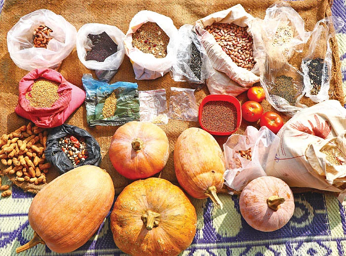 மொச்சை, வெள்ளரி, வரகு... ‘விதைகளின் தாய்’ ஒம்பாலம்மா!