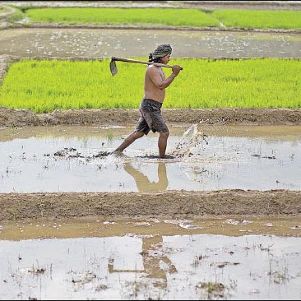 From farmer's land to vegetable market... Must know info about agri supply chain..! - Part 9