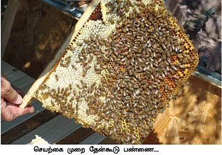 மாயா டீச்சரின் மந்திரக் கம்பளம்
