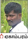 சக்காவோ பாரிட்டன்... - சமவெளியிலும் விளையும் மலைப் பிரதேச நெல்!