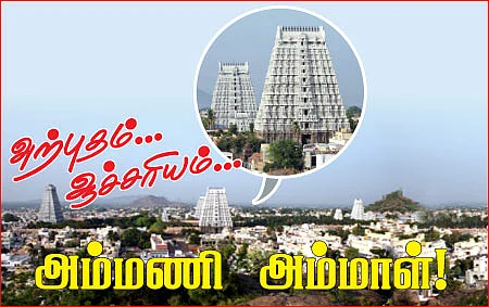 அற்புதம்... ஆச்சரியம்... அம்மணி அம்மாள்!