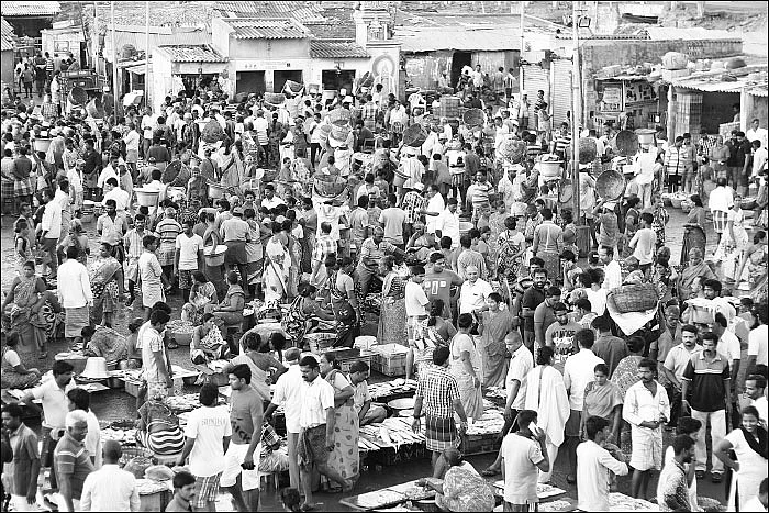 சென்னை இலக்கிய முகம் ஒரு பார்வை - கரன் கார்க்கி