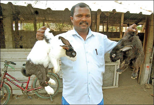 பணம் குவிக்கும் பண்ணைத்தொழில்கள் - 7 - மாதத்துக்கு ரூ. 45,000 லாபம்!
