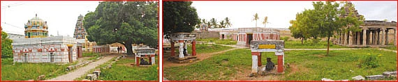 திருப்பட்டூர் அற்புதங்கள்!