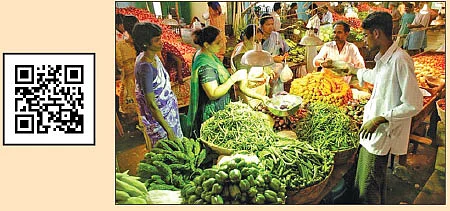அனுஷா... ஆதிரா... இனியா! - ``முட்டைகோஸ் வாங்கத் தெரியுமா?!”