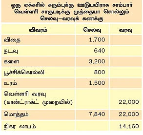 கரும்புக்கு நடுவே சாம்பார் வெள்ளரி!