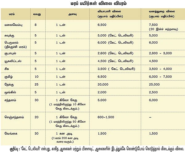 என்ன விலை மரமே !