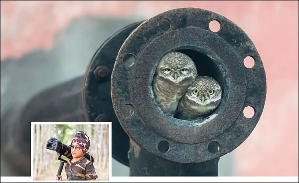 இன்பாக்ஸ்
