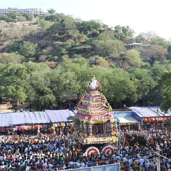 பக்தர்கள் வெள்ளத்தில் பழநி பங்குனித் தேரோட்டம்!