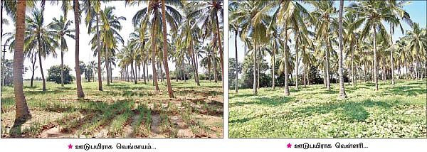 இங்கே... லாபத்தோடு, சந்தோஷமும் அறுவடையாகிறது...