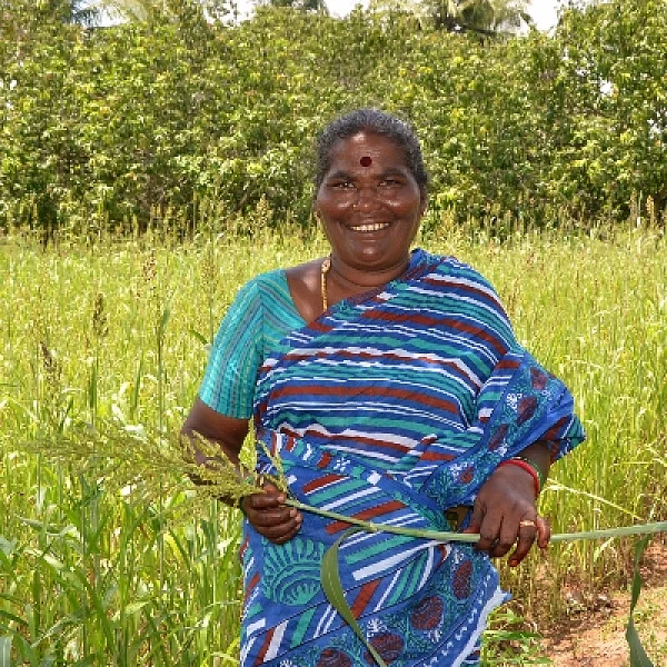 'பறவைங்க சாப்பிடுறதுக்காக 2 ஏக்கர்ல கம்பு சோளம் போட்டிருக்கேன்!' - சிவகங்கை ராஜேஸ்வரியின் நேசம்