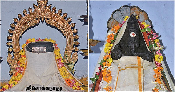 வேம்பாக மீனாட்சி... அரச மரமாக சொக்கநாதர்!