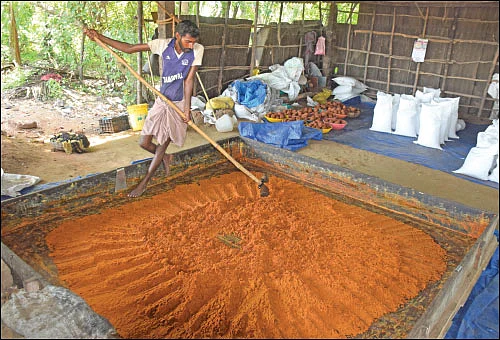 நாட்டுச் சர்க்கரையில் நல்ல வருமானம்! - 13 ஏக்கர்... 10 மாதங்கள்... ரூ 10 லட்சம்