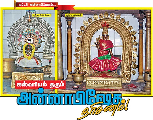ஐஸ்வரியம் தரும் அன்னாபிஷேக தரிசனம்!