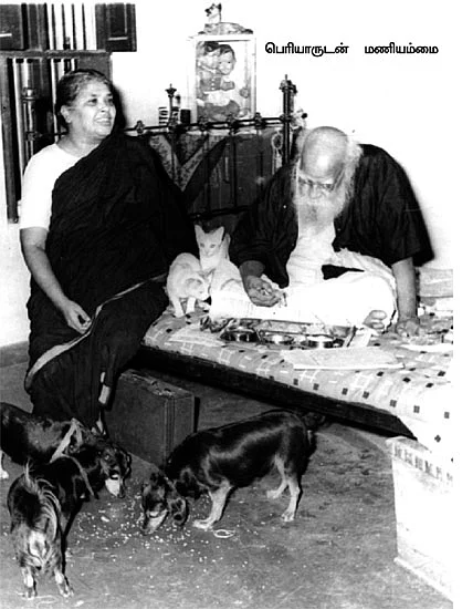 கழுகார் பதில்கள்