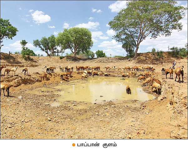 ஊருக்கு வழிகாட்டும் உத்தரமேரூர் பேரூராட்சி!