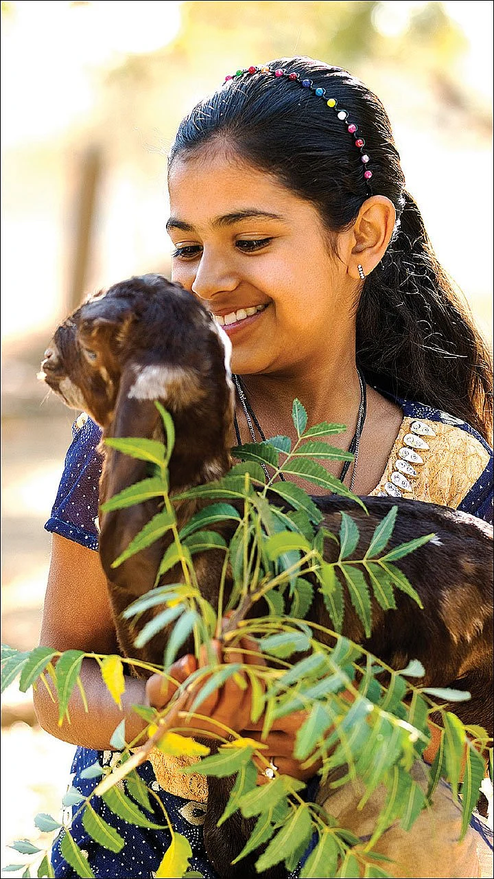 விமர்சனங்களை எதிர்கொள்கிற வயது - ஆனந்தம் விளையாடும் வீடு - 24