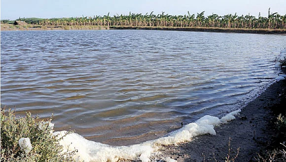விளைநிலங்களுக்கு வேட்டு வைக்கும் உப்பளங்கள்...