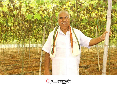 பஞ்சகவ்யா - 12