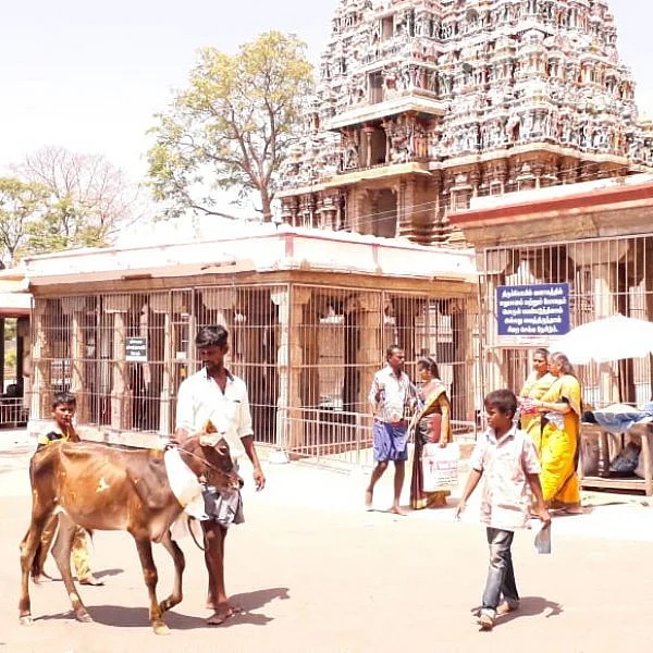 நேர்த்திக் கடன் செலுத்தும் பக்தர்கள்... விழாக்கோலம் பூண்ட அழகர் மலை