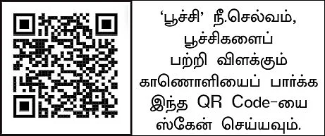 பூச்சிகளும் நம் நண்பர்களே..! - 2.0 - பயிர் நோய்களைப் பரப்பும் சாறு உறிஞ்சும் பூச்சிகள்!
