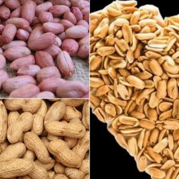 தேங்காய், நிலக்கடலை இருந்தால் உங்கள் காலை உணவு பெஸ்ட்!