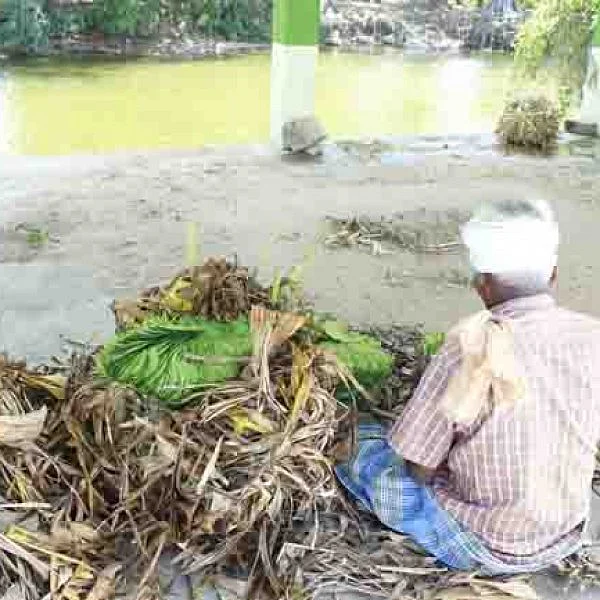 `இறந்தவர்களுக்குக் காரியம் செய்யும் கொட்டகைகளில் வெற்றிலை வியாபாரம்'- வேதனையில் வியாபாரிகள்
