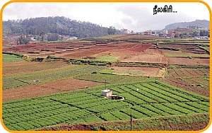 ஜோரா போகலாம் ஜாலி டூர்!