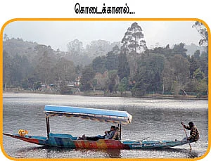 ஜோரா போகலாம் ஜாலி டூர்!