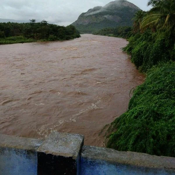 கனமழையால் வைகை ஆற்றில் வெள்ளப்பெருக்கு