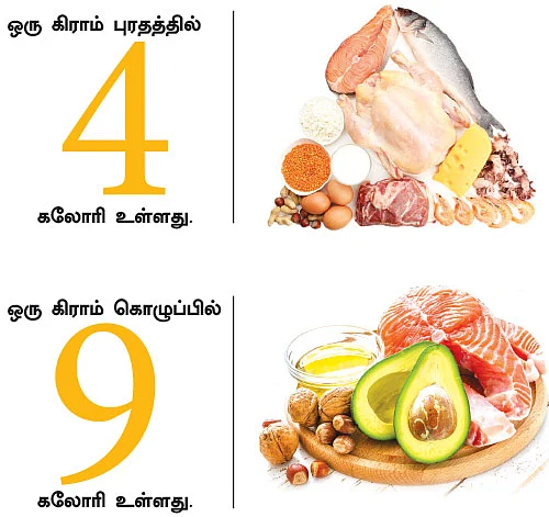 ஊட்டச்சத்து வழிகாட்டி!