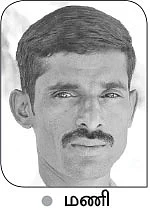 முத்தான வருமானம் கொடுக்கும் முலாம்பழம்!