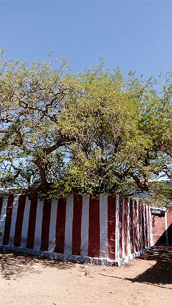 தாமிரபரணி கரையில் ஒரு திருப்பதி!