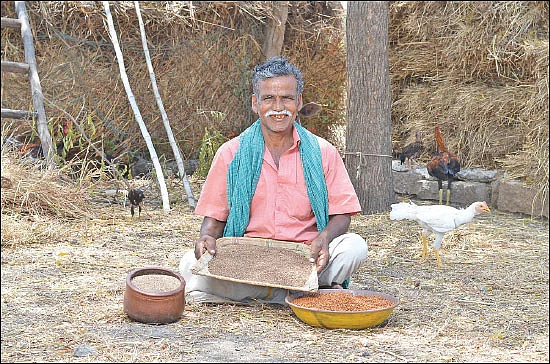 சிறப்பான வருமானம் கொடுக்கும் சிறுதானியங்கள்! - வரகு, கேழ்வரகு, துவரை...