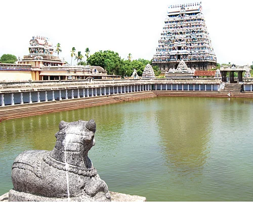 நாட்டியாஞ்சலியைத் தொடர்ந்து பாலாலயம்!