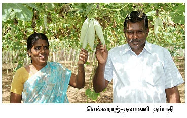 1 ஏக்கர்...6 மாதம்...ரூ.2,25,000