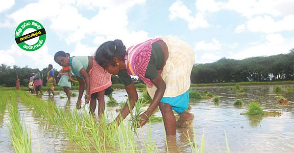 'செம்மண்ணு சிங்காரியே-உன்னை கரிசல் மண்ணு கருங்காலி என்ன செஞ்சான்?'
