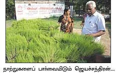 நாட்டு நடப்பு