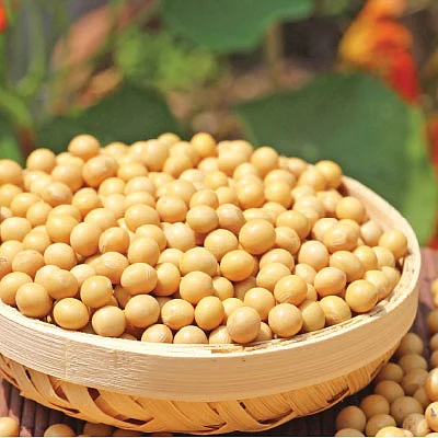 உலகம் சுற்றும் உழவு!