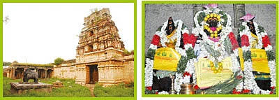 விழாக்கள்... விசேஷங்கள்!
