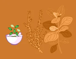 நம்ம ஊரு நம்ம மண் - நம்ம ஊரு வைத்தியம்