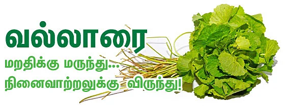 வல்லாரை மறதிக்கு மருந்து... நினைவாற்றலுக்கு விருந்து!