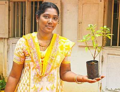 அமைதி! ஆரோக்கியம்! மூலிகை இல்லம்