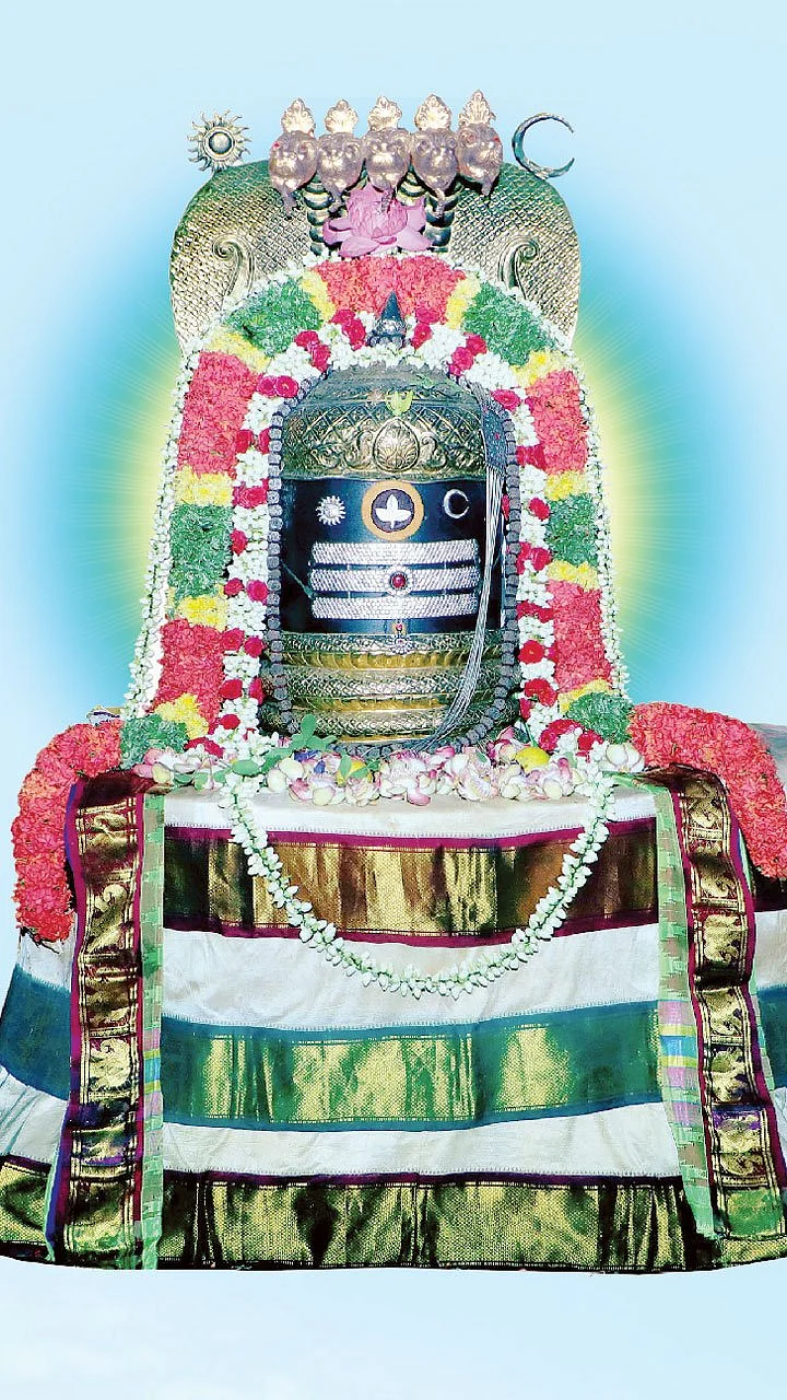 மண்ணாளும் ஈசனுக்கு மகா கும்பாபிஷேகம்!
